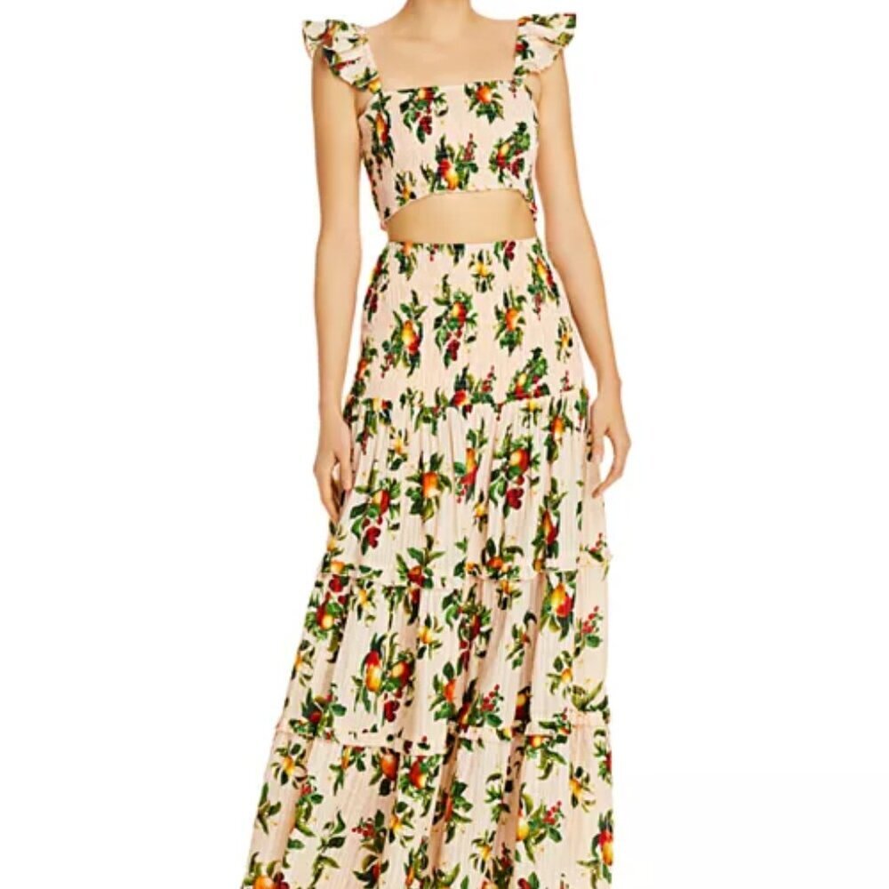 Significant Other Lily Printed Cropped Top & Maxi Skirt Set Size US 4